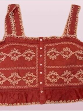 American Eagle Outfitters Rust Red Embroidered Crop Top Size XL